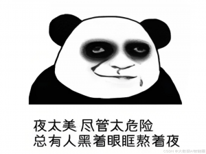 Data+AI━━深夜对话硅谷大佬：云计算、大数据、AI走向融合是必然还是偶然？