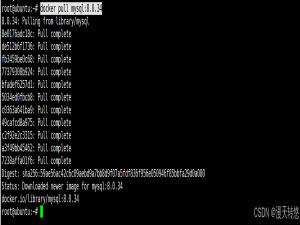 Docker保存镜像和导入镜像文件（图文详解）_docker save