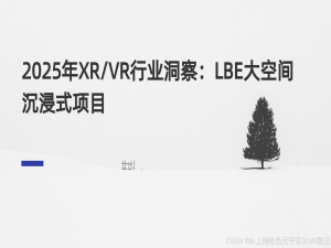 2025年XR/VR行业洞察：LBE大空间沉浸式项目_元宇宙大空间lbe项目