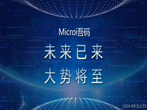 【Microi 吾码】基于 Microi 吾码低代码框架构建 Vue 高效应用之道_vue低代码框架
