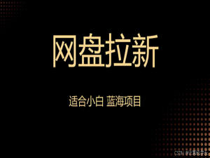 网盘拉新全攻略：从0到1开启躺赚之旅_网盘拉新引流方法
