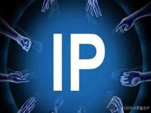 动态IP与区块链：重构网络信任的底层革命_区块链与ip产业