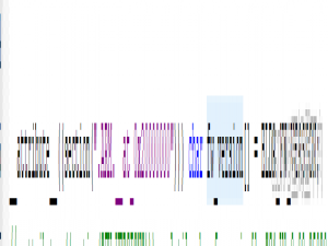 stm32在ram和flash中指定绝对地址存放变量或函数_单片机的ram内运行变量的地址如何指定