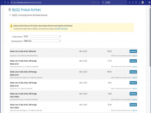 优立方AI主机Gitee项目一键部署指南