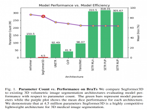 医图论文 CVPR‘24 | SegFormer3D：一种高效的3D医学图像分割Transformer