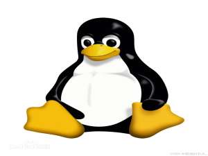 Linux系统权限全面解析：掌握你的数字王国钥匙