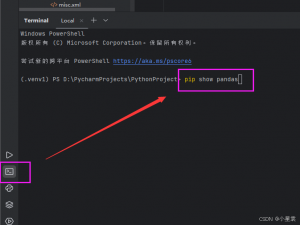 Python的pandas库基础知识（超详细教学）