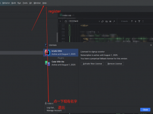 【IDEA】idea怎么修改注册的用户名称?