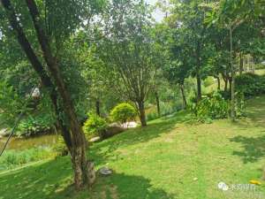 rtpengine的docker化