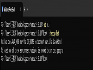 Javaweb————Apache Tomcat服务器介绍及Windows,Linux,MAC三种系统搭建Apache Tomcat