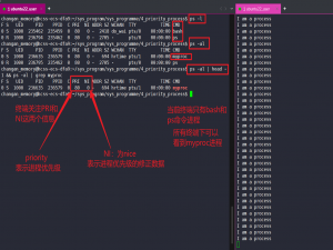 【Linux我做主】进程优先级