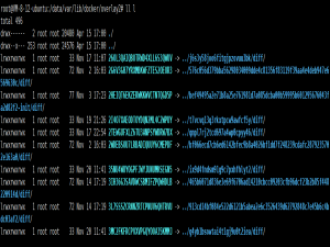 Docker--Docker镜像原理