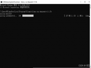创建自己专属DeepSeek实现大模型 全过程!!!（超详细教程）_deepseek创建模型