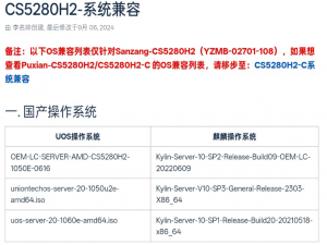 国产化海光C86架构服务器安装windows实录_海光cpu可以装windows吗