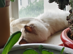 【海贼王航海日志：前端技术探索】一篇文章带你走进JavaScript(三)