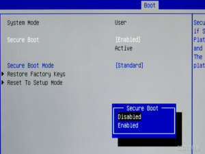 BIOS中的‌Secure Boot（安全启动）