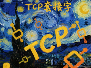 深入理解 TCP 套接字：Socket 编程入门教程