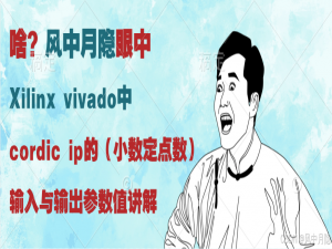 XIlinx FPGA 的vivado中cordic ip的（定点数小数）输入与输出参数值讲解_xilinx cordic ip