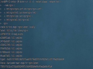 Docker 安装和配置 Nginx 详细图文教程_docker nginx