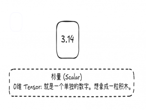 PyTorch 数据类型和使用