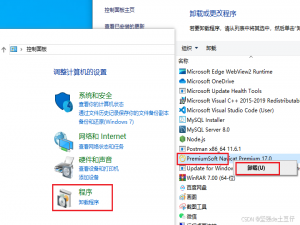 新版 Navicat Premium 17 安装教程 （亲测可用）