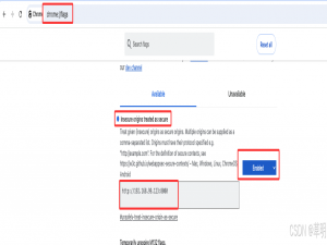 使用 Chrome Flags 设置（适用于 HTTP 站点开发）