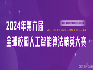 第六届全球校园人工智能算法精英大赛-算法巅峰专项赛（系列文章）-- 验证程序