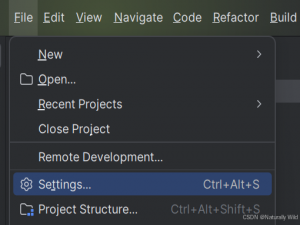 IDEA连接Gitee_idea配置gitee
