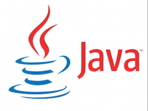 Java如何读取CSV文件并将数据放入对象中详解_java opencsv bean映射