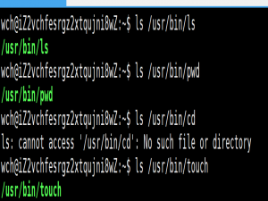 【Linux】Linux下基本指令_linux的基本指令