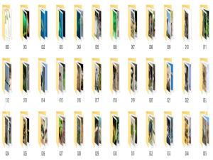 【Pytorch实战教程】torchvision.datasets.ImageFolder的详细用法介绍