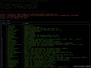 与 TRON (波场) 区块链进行交互的命令行工具 (CLI): tstroncli