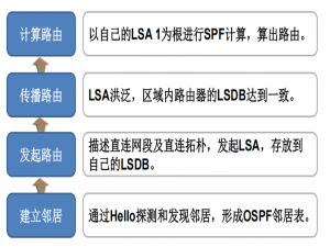 20-ospf技术