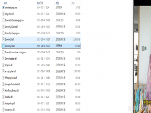 大佬复活版-B站视频下载神器-哔哩下载姬，白嫖高清+弹幕+去水印+音频分离一键下载_b站4k下载