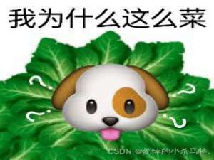 【动态规划篇】欣赏概率论与镜像法融合下，别出心裁探索解答括号序列问题