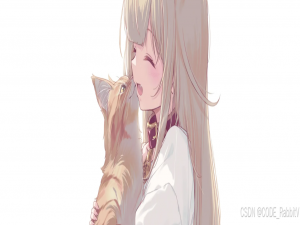 LeetCode 热题 HOT 100 （033/100）【宇宙最简单版】