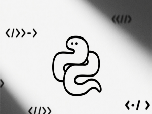 动态IP也能玩：个人电脑搭建外网访问服务器的端口映射与域名解析技巧_动态ip映射