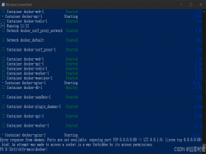 【Docker】 端口占用问题：Windows 系统 80 端口无权限绑定详细解决教程--Error response from daemon: Ports are not available: