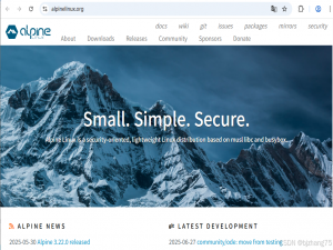 docker避坑离线安装alpineLinux，并在alpine容器里安装ssh服务详解_alpine.tar下载