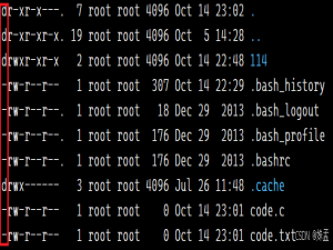 Linux——常见指令及其权限理解