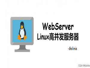 【C++高并发服务器WebServer】-12：TCP详解及实现