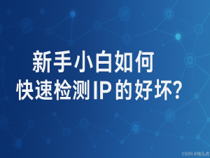 新手小白如何快速检测IP 的好坏？_ip质量检测