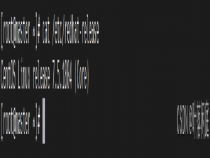 【k8s】k8s集群搭建