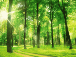 【Python】基础语法