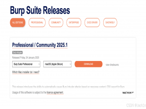 mac安装burpsuite2025教程_burpsuite mac