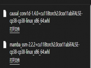 Linux（autoDL云服务器）mamba-ssm环境安装——一次成功！_mamba-ssm安装