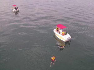 如何使用yolov8模型训练无人机海上目标检测数据集 通过训练的无人机航拍海面目标检测数据集模型，建立深度学习无人机海上人员船只的检测系统_seadronessee数据集的yolo格式