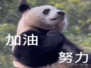 Linux《基础开发工具（上）》