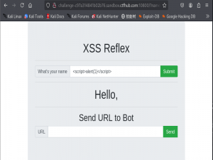 CTFHUB-Web-XSS_ctfhub xss