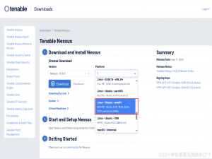 Ubuntu 22.04安装Nessus（离线激活模式）_nessus is offline and cannot do software updates v
